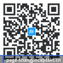 iOS 苹果版 二维码